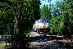 109 - Sunrail